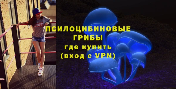 прущая мука Арсеньев