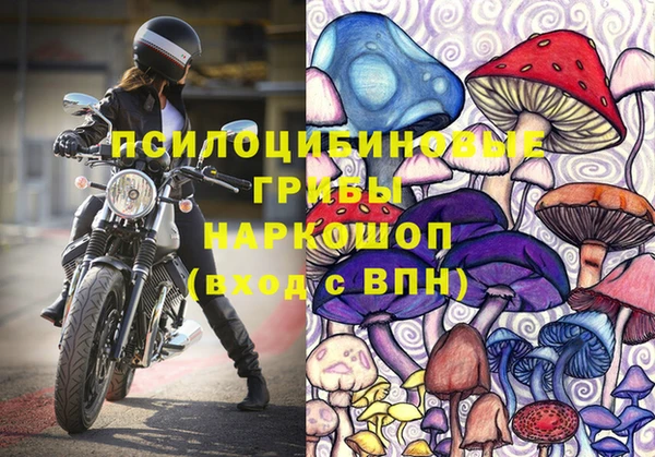 первитин Армянск