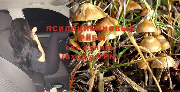 первитин Армянск
