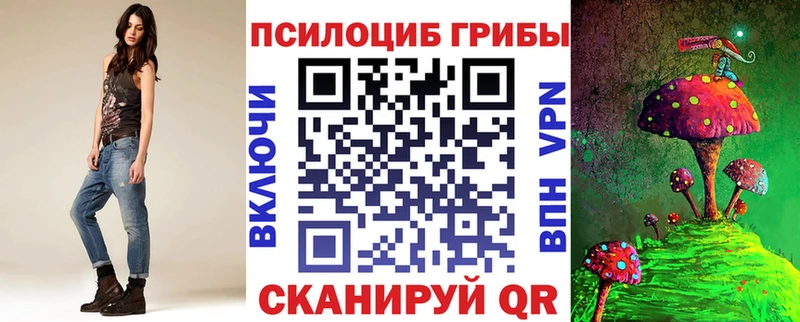 купить закладку  Крым  блэк спрут зеркало  Галлюциногенные грибы Cubensis 